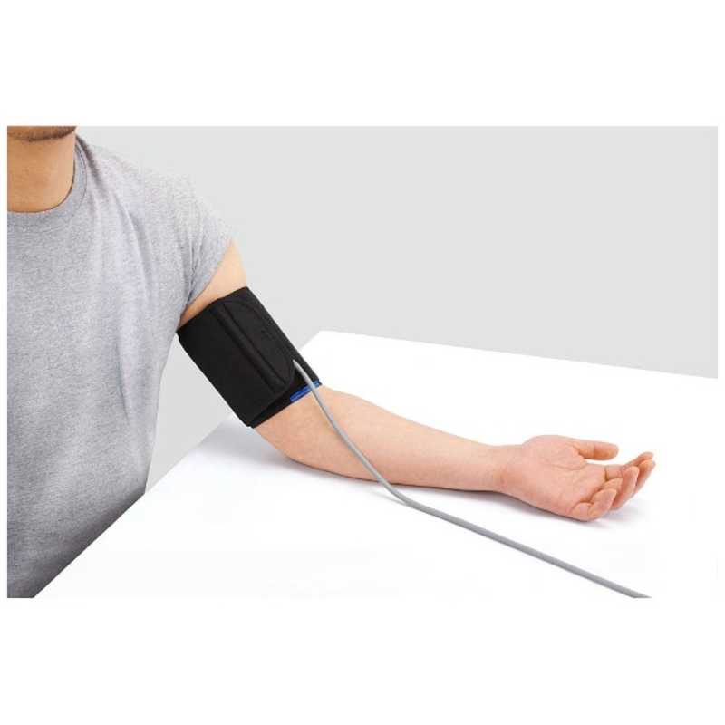 シチズンシステムズ シチズンシステムズ 血圧計[上腕(カフ)式] CHUC615 CHUC615