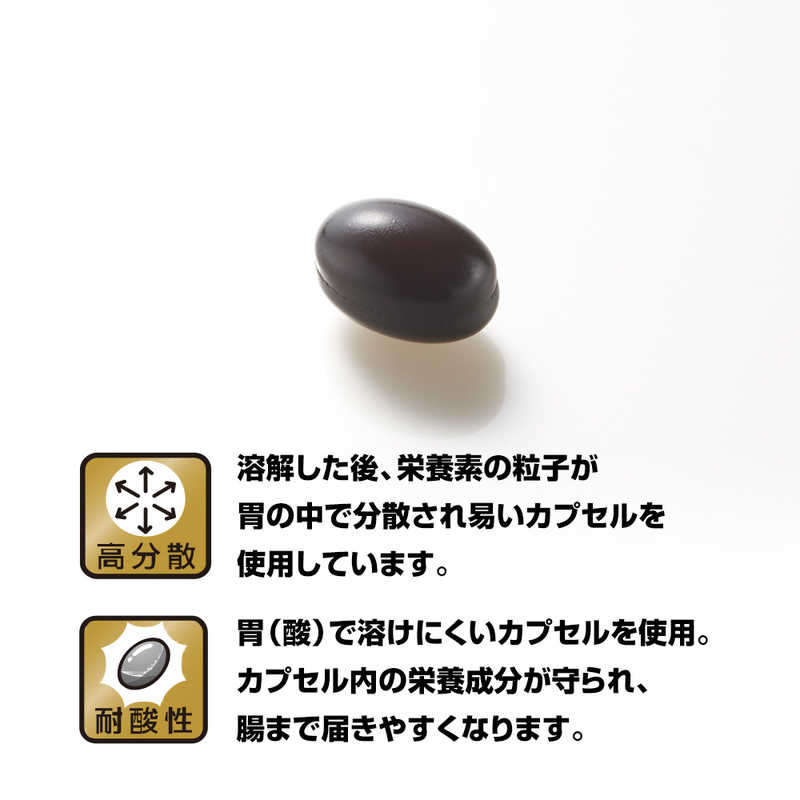 野口医学研究所 野口医学研究所 納豆キナーゼHQ 120粒(約30日分)【栄養補助食品】  