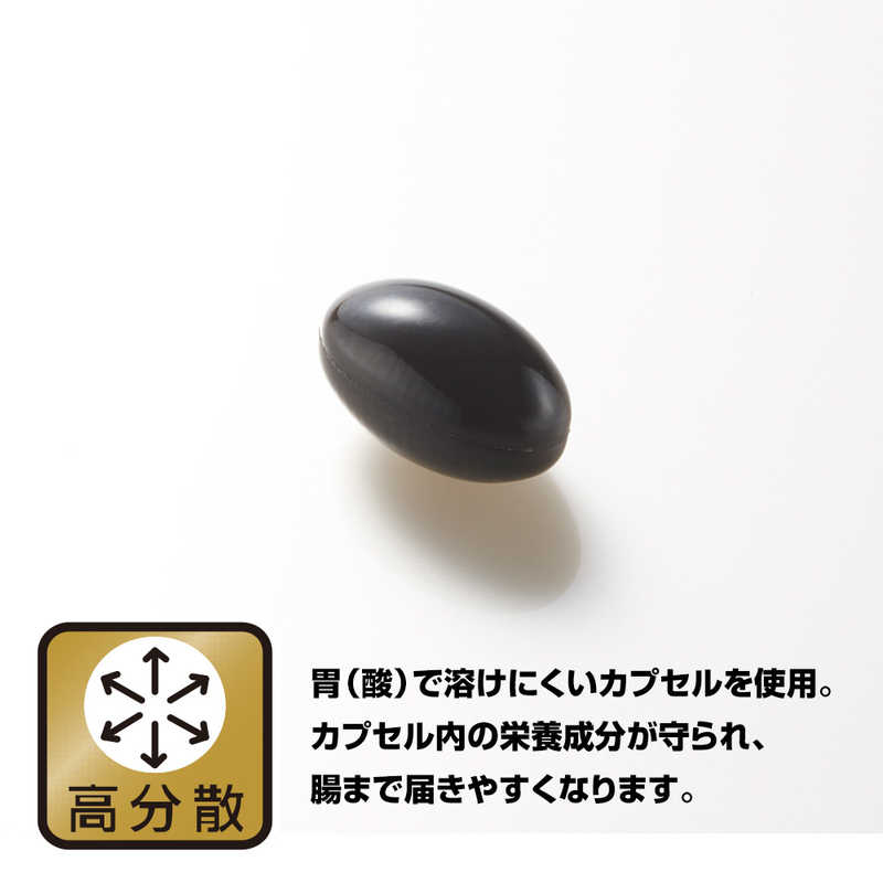 野口医学研究所 野口医学研究所 ブルーベリー&ルテイン 60粒(約30日分)【栄養補助食品】  