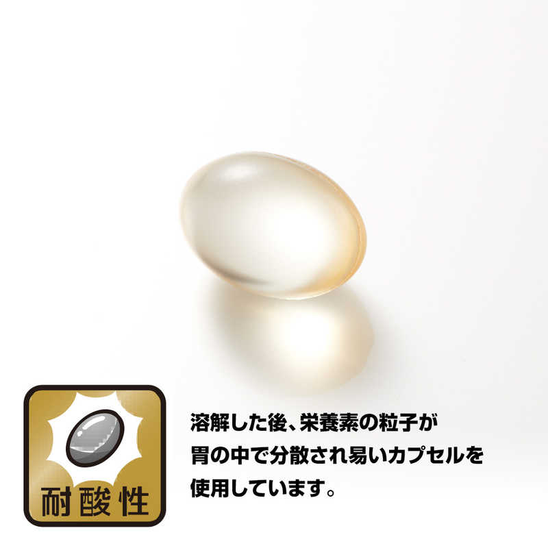 野口医学研究所 野口医学研究所 鮫肝油 90粒(約30日分)【栄養補助食品】  