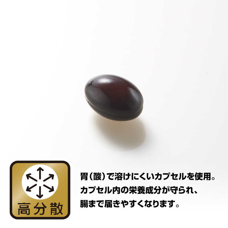 野口医学研究所 野口医学研究所 コエンザイムQ10 60粒(約30日分)【栄養補助食品】  