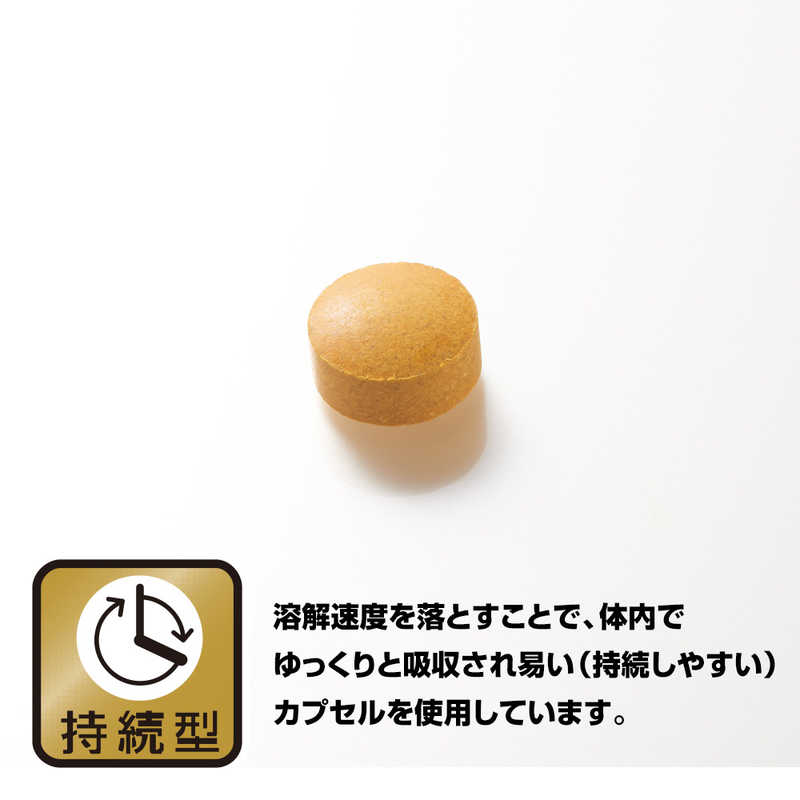 野口医学研究所 野口医学研究所 肝臓エキス&ウコン 90粒(約30日分)【栄養補助食品】  
