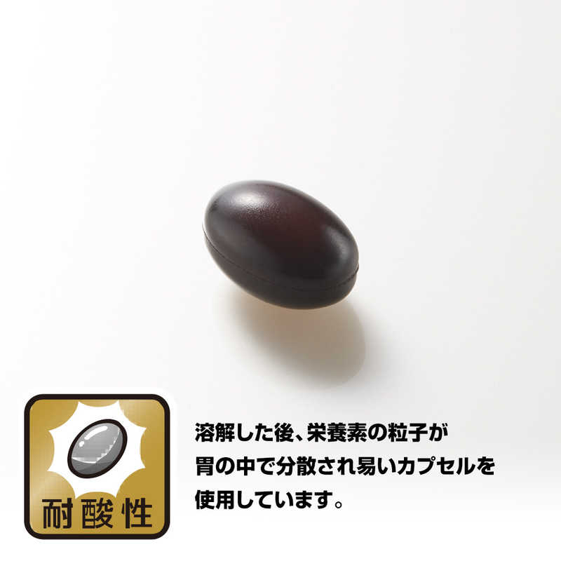 野口医学研究所 野口医学研究所 善玉菌 60粒(約30日分)【栄養補助食品】  