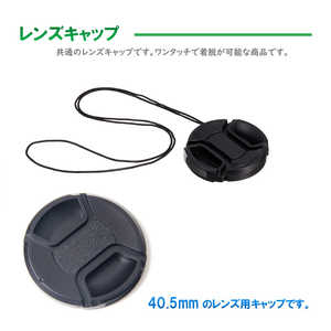 ROYALMONSTER ��󥺥���å� ɳ�դ� [40.5mm] RM-3321