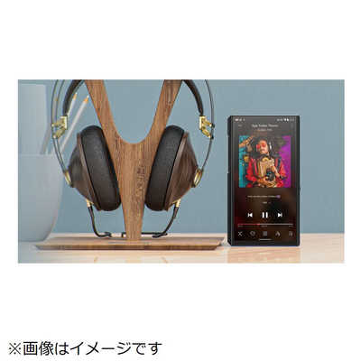 FIIO ハイレゾポータブルプレーヤー M11 Plus ESS ブラック