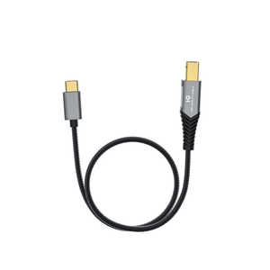FIIO 0.5m USBケーブル(TypeB to TypeC) FIO-LD-TC1 FIIO 0.5m USBケーブル(TypeB to TypeC) FIO-LD-TC1