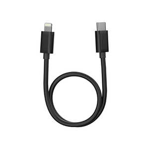 FIIO 0.2m OTGケーブル(TypeC to Lightning) FIO-LT-LT3 FIIO 0.2m OTGケーブル(TypeC to Lightning) FIO-LT-LT3