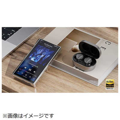 FIIO ハイレゾプレーヤー M23 ［ハイレゾ対応 /64GB］ FIO-M23-B の
