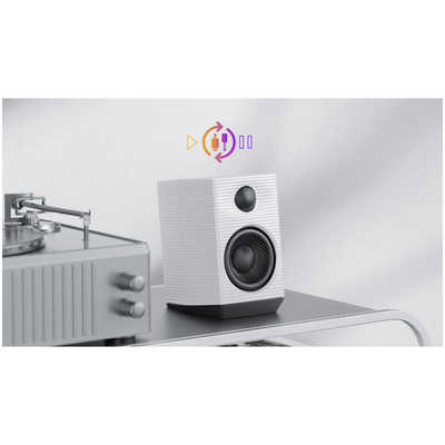 FIIO SP3 BT White ［ハイレゾ対応 /2本］ FIO-SP3BT-W の通販 