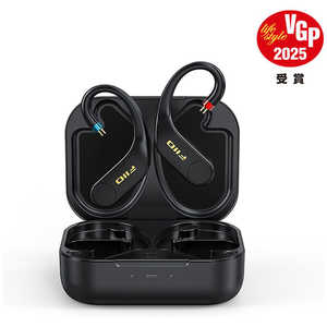 FIIO 左右独立型耳掛け式Bluetoothレシーバー UTWS5 2025 2PIN FIO-UTWS5-25-2PIN FIIO 左右独立型耳掛け式Bluetoothレシーバー UTWS5 2025 2PIN FIO-UTWS5-25-2PIN