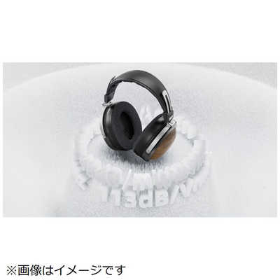 FIIO FT1 Beech FIO-FT1-C の通販 - カテゴリ：オーディオ・ヘッドホン