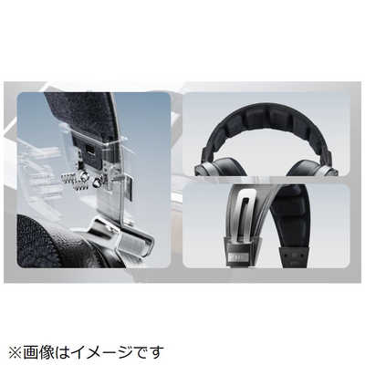 FIIO FT1 Beech FIO-FT1-C の通販 - カテゴリ：オーディオ・ヘッドホン