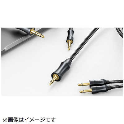 FIIO FT1 Beech FIO-FT1-C の通販 - カテゴリ：オーディオ・ヘッドホン