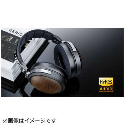 FIIO FT1 Beech FIO-FT1-C の通販 - カテゴリ：オーディオ・ヘッドホン