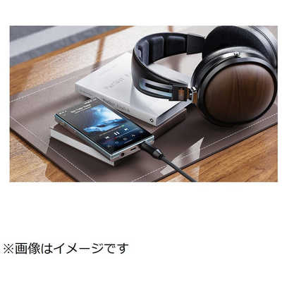 FIIO ハイレゾプレーヤー ［ ハイレゾ対応 ］ Black FIO-JM21-B の通販