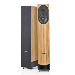 PMC prophecy5 Mediterranean Oak 2ܡ Mediterranean Oak PMC-PRP5-MO