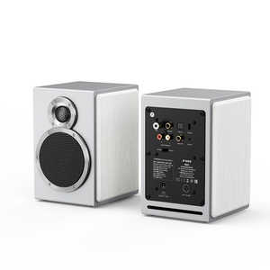 FIIO SA1 Υϥ쥾б / 2ܡ White FIO-SA1-W