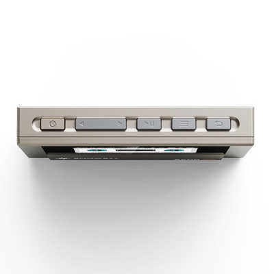 FIIO Snowsky ECHO MINI ［ハイレゾ対応 / 8GB］ Titanium Gold FIO