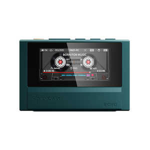 Snowsky ECHO FIO-SSECHO-GR [4GB Green]