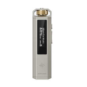 FIIO Snowsky ECHO NANO Titanium Gold ［ハイレゾ対応］ FIO-SSENANO-G