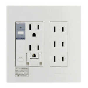 河村電器産業 プレトラックコンセント(多回路2連・簡易耐火枠付) PTC2A15FE 河村電器産業 プレトラックコンセント(多回路2連・簡易耐火枠付) PTC2A15FE