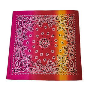 バックヤードファミリー Bandanna COLLECTION バンダナ 011E ALFERBANDANNA バックヤードファミリー Bandanna COLLECTION バンダナ 011E ALFERBANDANNA