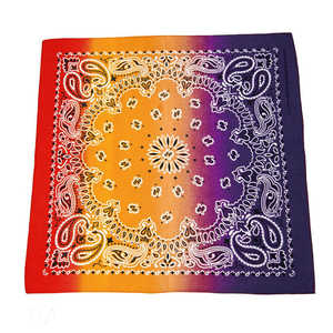 バックヤードファミリー Bandanna COLLECTION バンダナ 012F ALFERBANDANNA バックヤードファミリー Bandanna COLLECTION バンダナ 012F ALFERBANDANNA