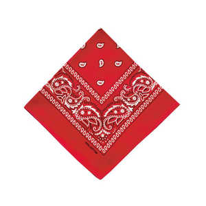 バックヤードファミリー PAISLEY BANDANNA バンダナ RED PAISLEYBANDANNA バックヤードファミリー PAISLEY BANDANNA バンダナ RED PAISLEYBANDANNA