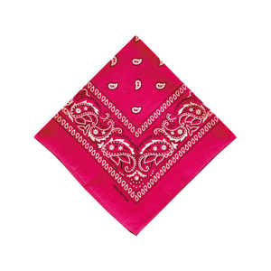 バックヤードファミリー PAISLEY BANDANNA バンダナ PINK PAISLEYBANDANNA バックヤードファミリー PAISLEY BANDANNA バンダナ PINK PAISLEYBANDANNA