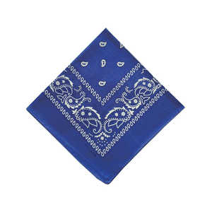バックヤードファミリー PAISLEY BANDANNA バンダナ BLUE PAISLEYBANDANNA バックヤードファミリー PAISLEY BANDANNA バンダナ BLUE PAISLEYBANDANNA
