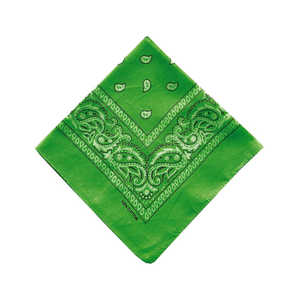 バックヤードファミリー PAISLEY BANDANNA バンダナ GREEN PAISLEYBANDANNA バックヤードファミリー PAISLEY BANDANNA バンダナ GREEN PAISLEYBANDANNA