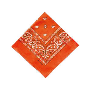 バックヤードファミリー PAISLEY BANDANNA バンダナ ORANGE PAISLEYBANDANNA バックヤードファミリー PAISLEY BANDANNA バンダナ ORANGE PAISLEYBANDANNA