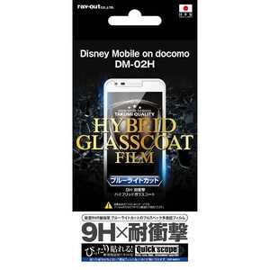 レイアウト Disney Mobile DM-02H用液晶保護フィルム RT-LDH2FT/V1