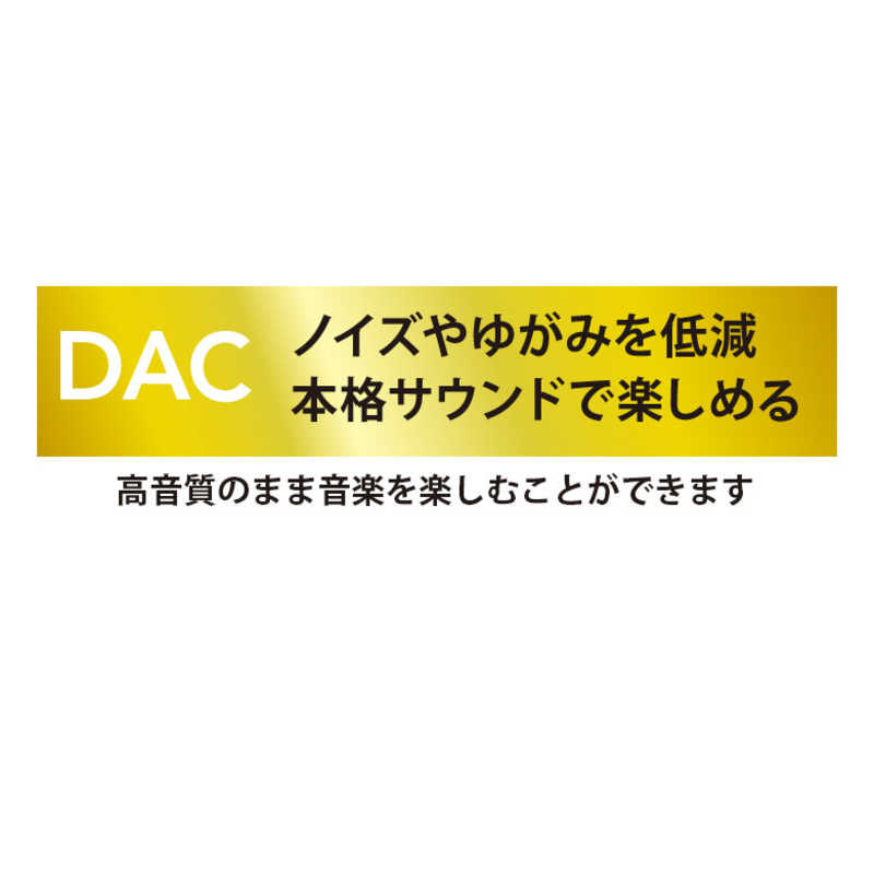 PGA PGA 3.5mmイヤホン変換アダプタ for USB Type-C ブラック Premium Style ブラック PG-35CCN01BK PG-35CCN01BK