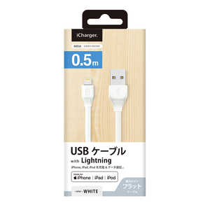 PGA ライトニング充電&通信フラットケーブル 0.5m PG-ELFC05M22WH ホワイト