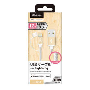PGA USB-A ⇔ Lightning 充電･転送ケーブル iCharger タフ [1.2m /MFi認証 iPhone･iPad･iPod] PG-LC12M23GD