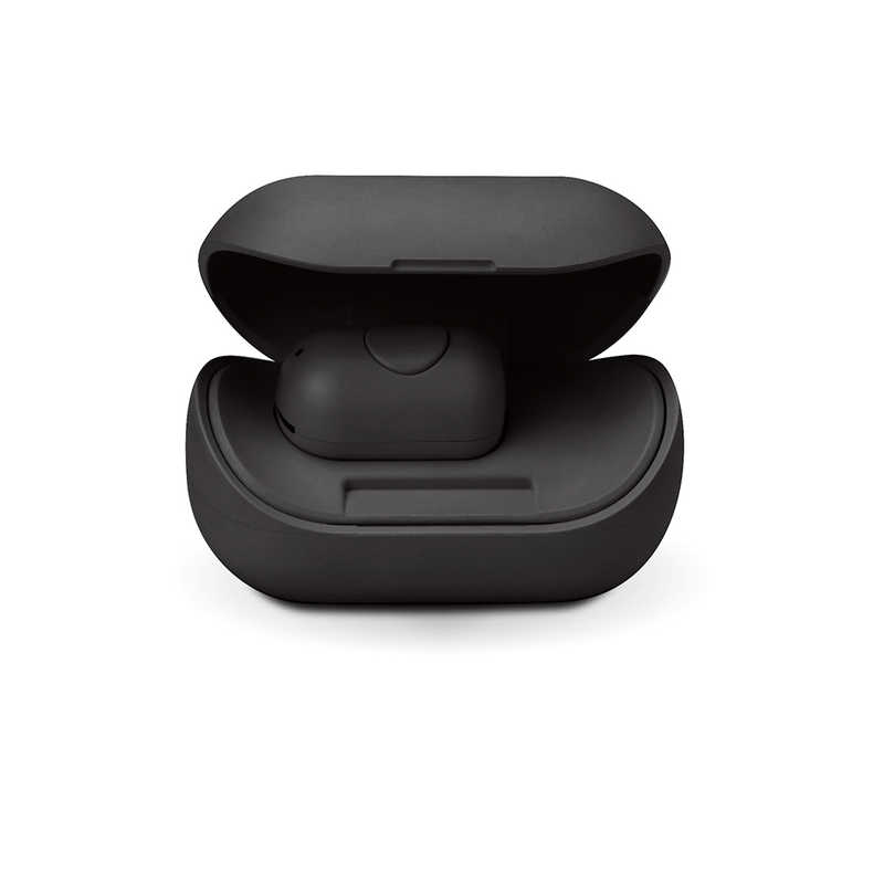 PGA PGA Bluetooth 5.0 片耳ワイヤレスイヤホン 充電ケース付 ブラック Premium Style ブラック PG-BTE13BC1BK PG-BTE13BC1BK