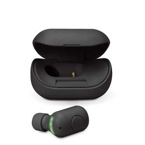 PGA Bluetooth 5.0 片耳ワイヤレスイヤホン 充電ケース付 ブラック Premium Style ブラック PG-BTE13BC1BK