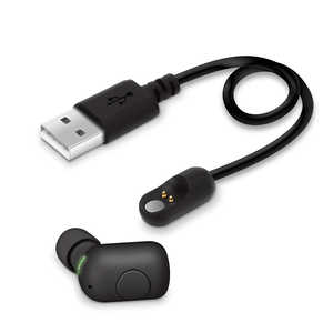 PGA Bluetooth 5.0 片耳ワイヤレスイヤホン マグネット充電ケーブル付 ブラック Premium Style ブラック [リモコン･マイク対応 /ワイヤレス] PG-BTE13MC1BK