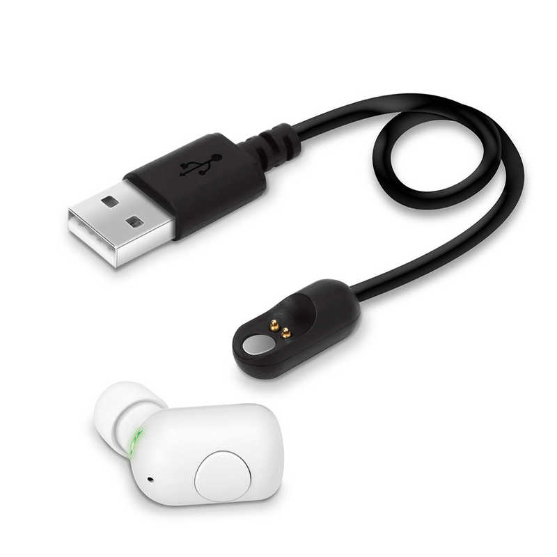 PGA PGA Bluetooth 5.0 片耳ワイヤレスイヤホン マグネット充電ケーブル付 ホワイト Premium Style ホワイト [リモコン･マイク対応 /ワイヤレス] PG-BTE13MC2WH PG-BTE13MC2WH