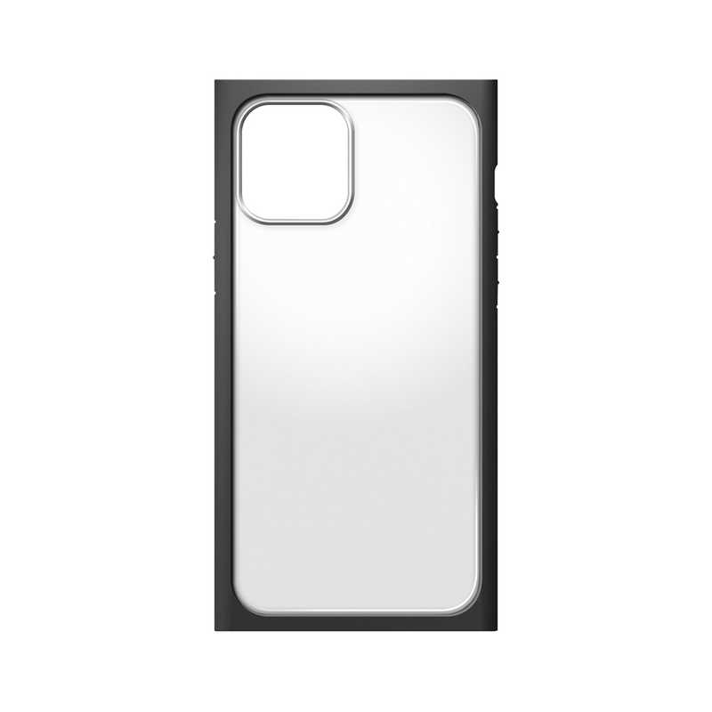 PGA PGA iPhone 12 mini 5.4インチ対応 ガラスタフケース スクエアタイプ Premium Style ブラック PG-20FGT05BK PG-20FGT05BK