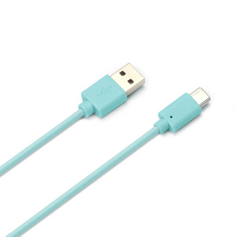 PGA PGA USB Type-C USB Type-A コネクタ USBケーブル 50cm ブルー iCharger 50cm ブルー PG-CUC05M13 PG-CUC05M13