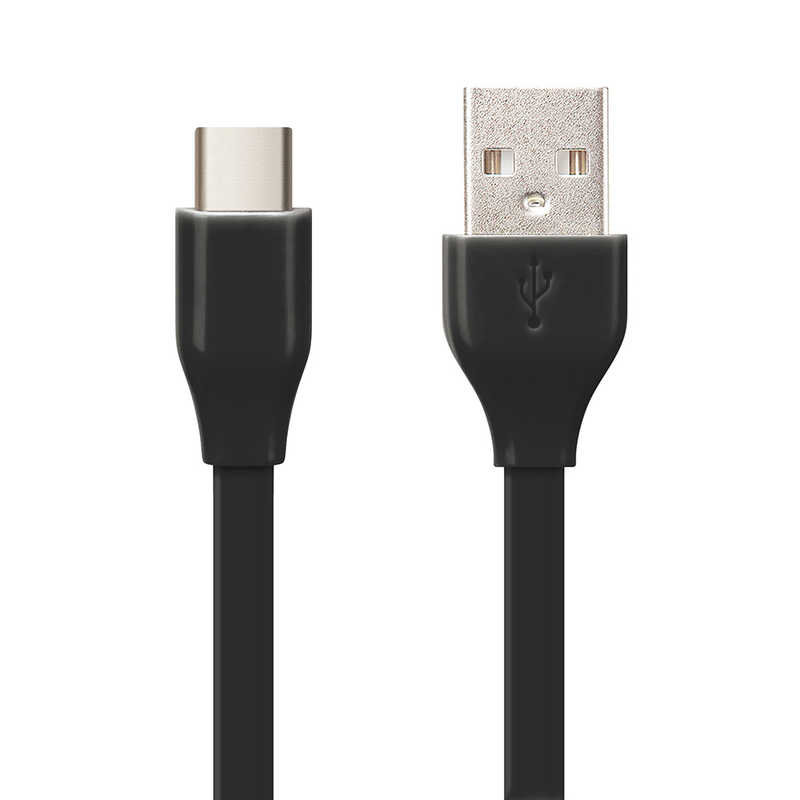 PGA PGA USB Type-C USB Type-A コネクタ USBフラットケーブル 15cm ブラック iCharger 15cm ブラック PG-CUC01M16 PG-CUC01M16