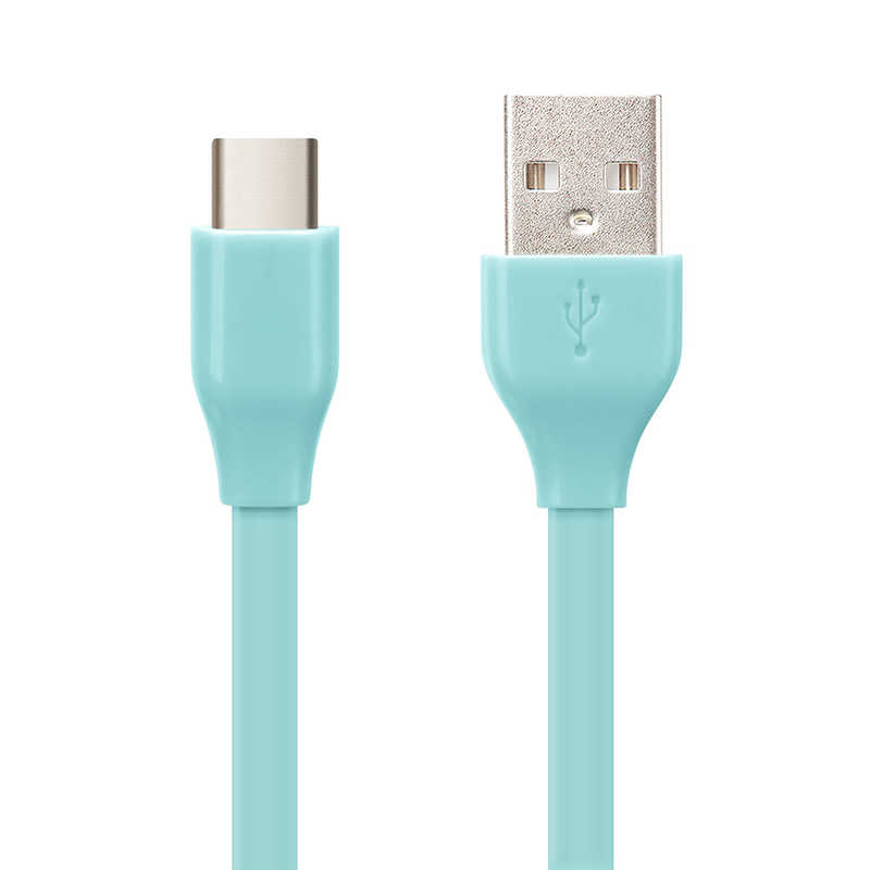 PGA PGA USB Type-C USB Type-A コネクタ USBフラットケーブル 50cm ブルー iCharger 50cm ブルー PG-CUC05M18 PG-CUC05M18