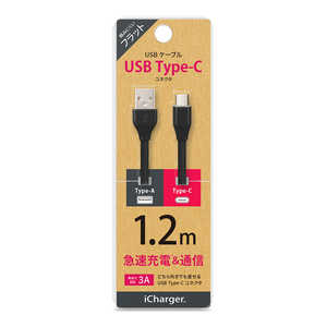 PGA USB Type-C USB Type-A コネクタ USBフラットケーブル 1.2m ブラック iCharger 1.2m ブラック PG-CUC12M16