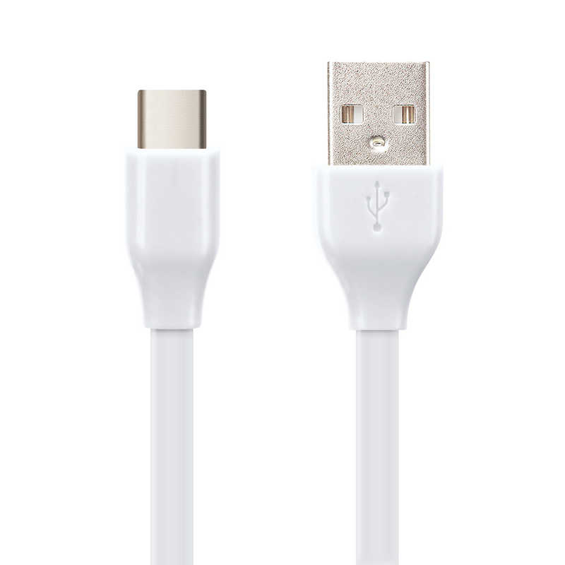 PGA PGA USB Type-C USB Type-A コネクタ USBフラットケーブル 1.2m ホワイト iCharger 1.2m ホワイト PG-CUC12M17 PG-CUC12M17