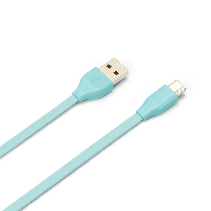 PGA PGA USB Type-C USB Type-A コネクタ USBフラットケーブル 1.2m ブルー iCharger 1.2cm ブルー PG-CUC12M18 PG-CUC12M18