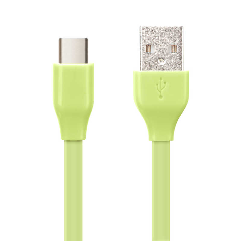 PGA PGA USB Type-C USB Type-A コネクタ USBフラットケーブル 1.2m グリーン iCharger 1.2cm グリーン PG-CUC12M20 PG-CUC12M20
