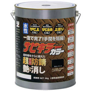 BANZI BANーZI 防錆塗料 サビキラーカラー艶消し 4kg つや消し黒 BSKCTK04B BANZI BANーZI 防錆塗料 サビキラーカラー艶消し 4kg つや消し黒 BSKCTK04B