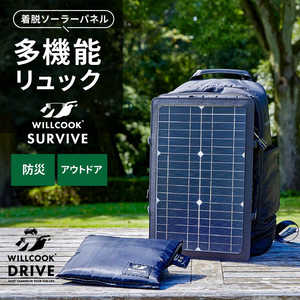 STARTTS WILLCOOKSURVIVE WCS7848 STARTTS WILLCOOKSURVIVE WCS7848